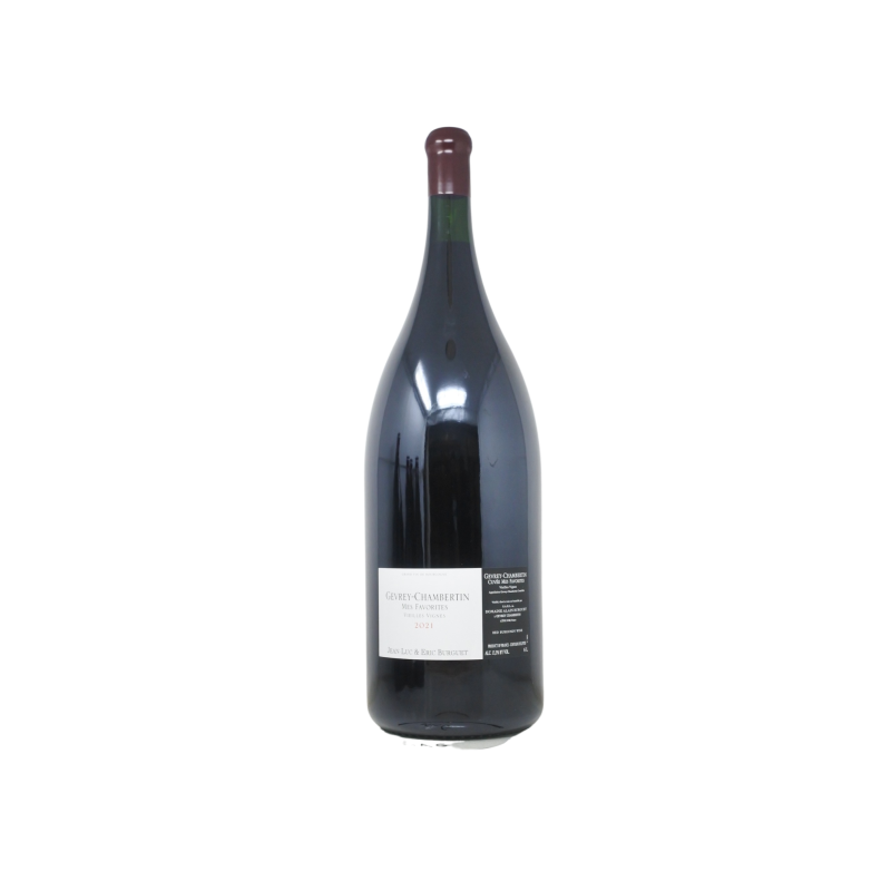 Gevrey-Chambertin Mes Favorites Vieilles Vignes 2021 Domaine Alain Burguet 600cl