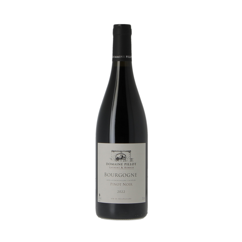 Bourgogne Pinot Noir 2022 Domaine Pillot Laurent Et Romain