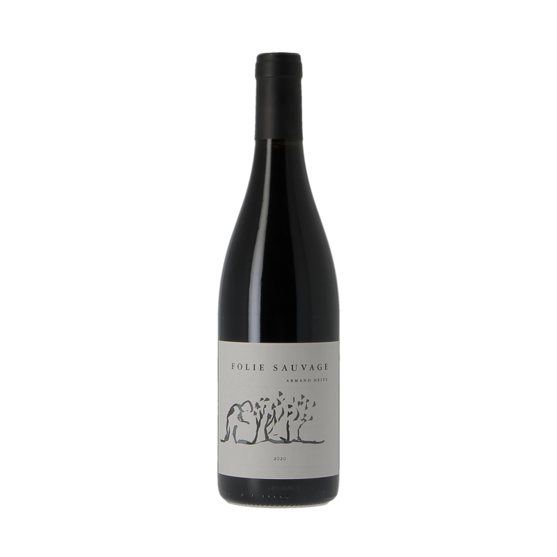 Coteaux Bourguignon Rouge 2020 Armand Heitz