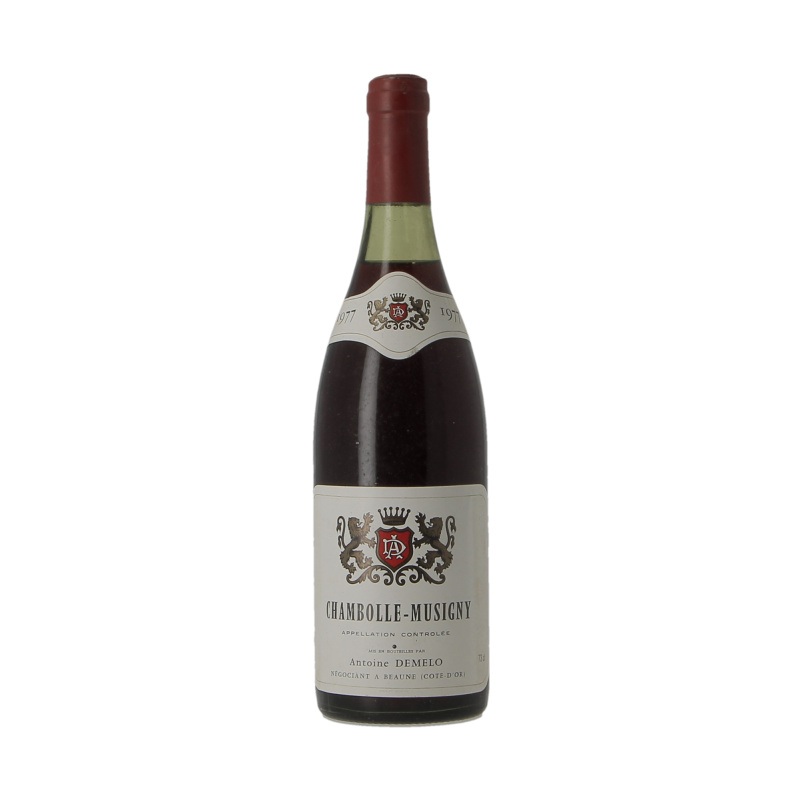 Chambolle-Musigny 1977 Antoine Demelo