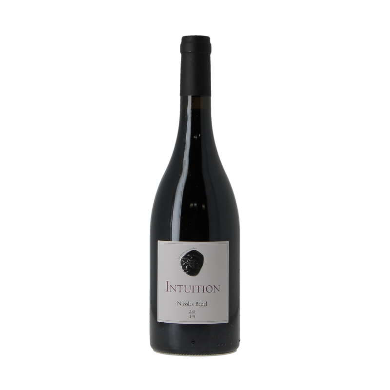 Intuition 2019 Nicolas Badel