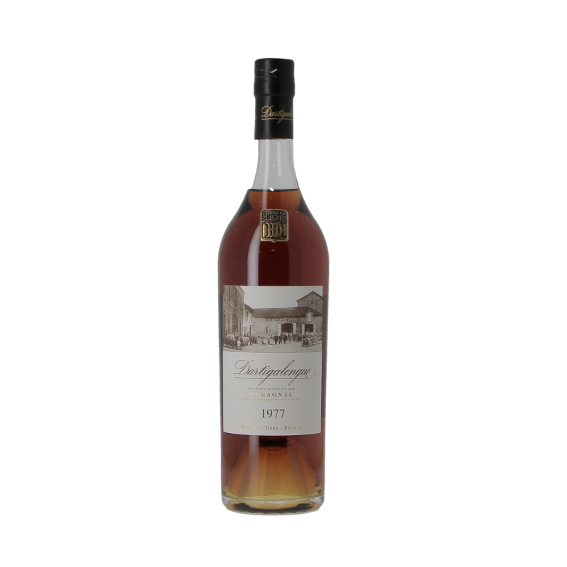 Armagnac 1977 Dartigalongue