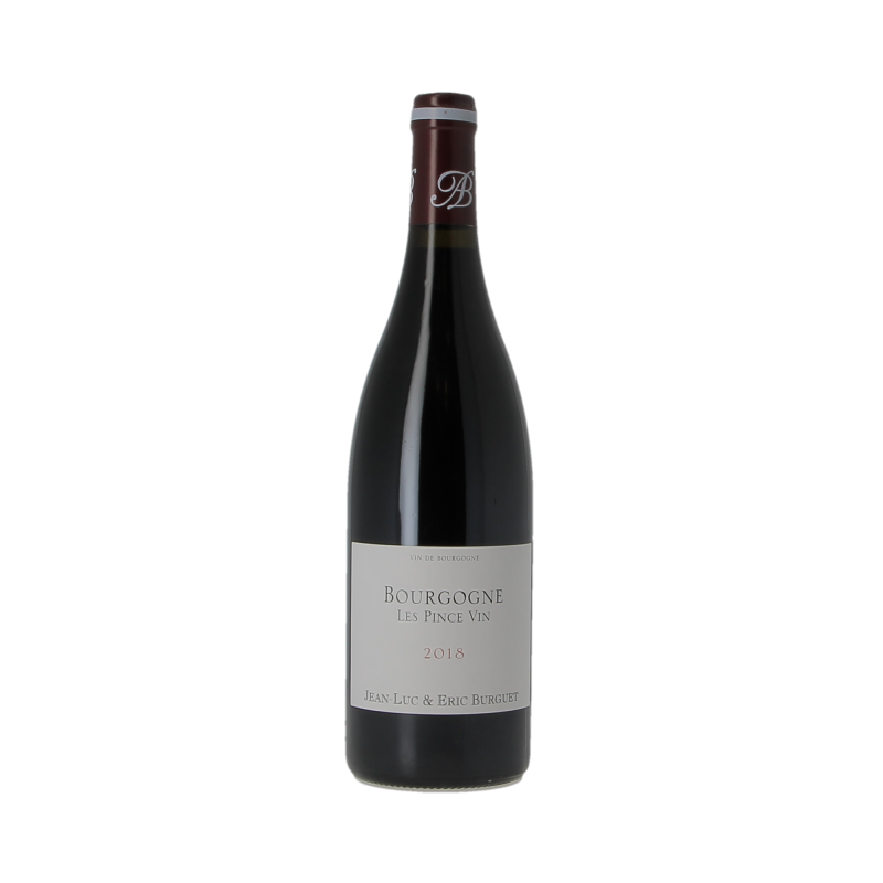 Bourgogne Les Pince Vin 2018 Domaine Alain Burguet