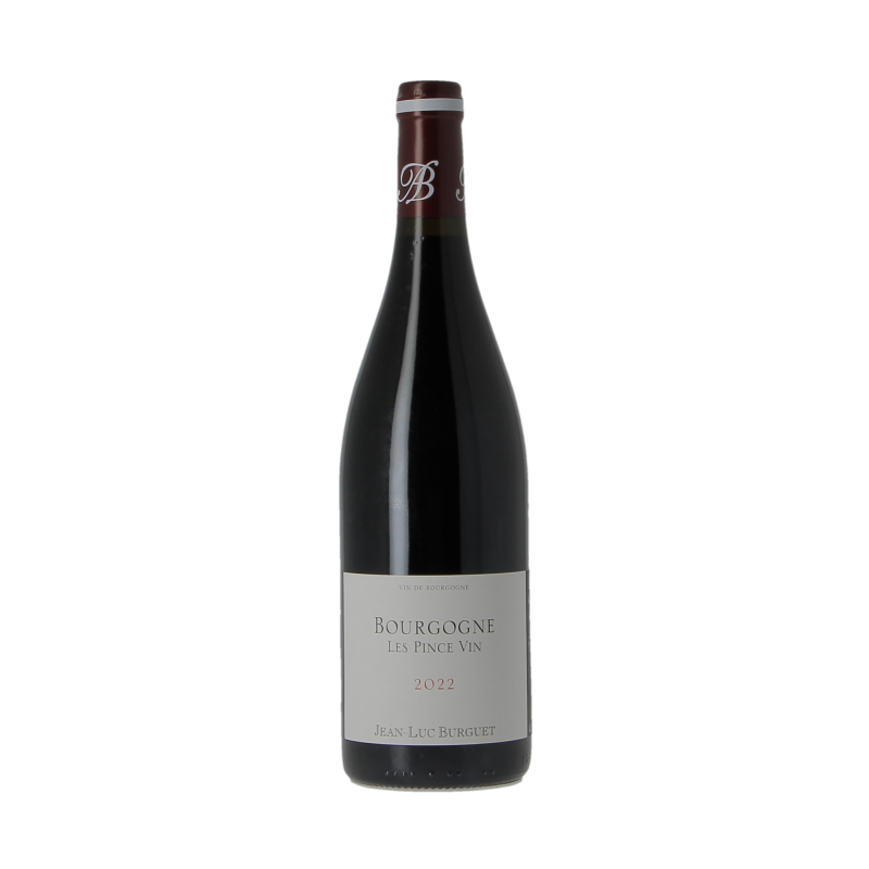 Bourgogne Les Pince Vin 2022 Domaine Alain Burguet