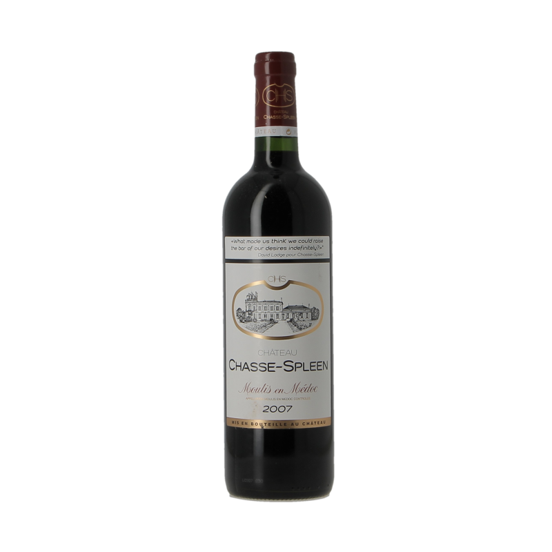Chateau Chasse-Spleen 2007 Moulis-En-Medoc