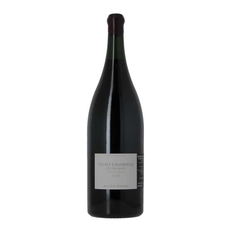 Gevrey-Chambertin Mes Favorites Vieilles Vignes 2022 Domaine Alain Burguet 300cl
