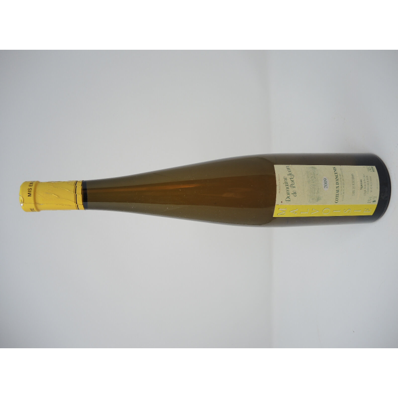 Coteaux D'Ancenis 2009 Domaine Port-Jean