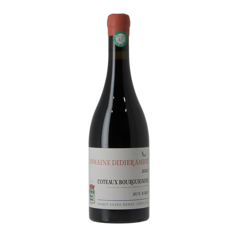 Coteaux Bourguignon 2023 Domaine Didier Amiot