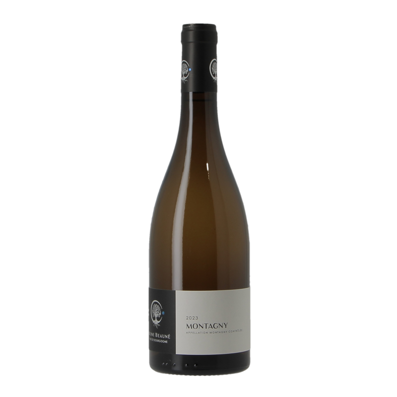 Montagny 2023 Aline Beaune