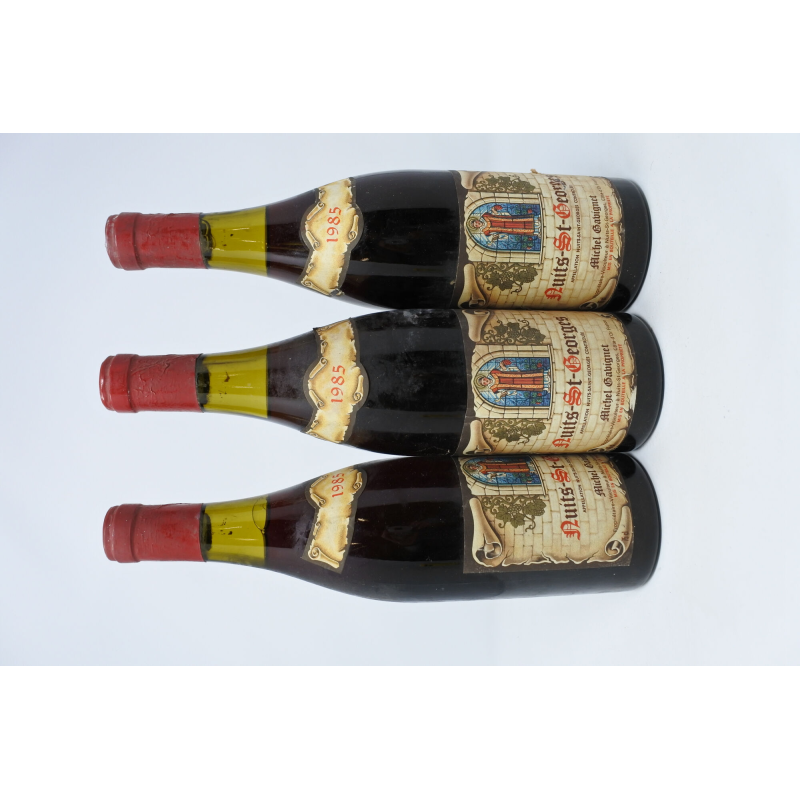 Nuits-Saint-Georges 1985 Michel Gavignet