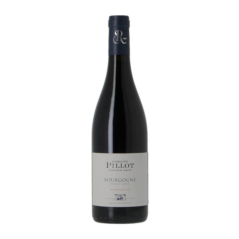 Bourgogne Pinot Noir 2024 Domaine Pillot Romain Et Simon
