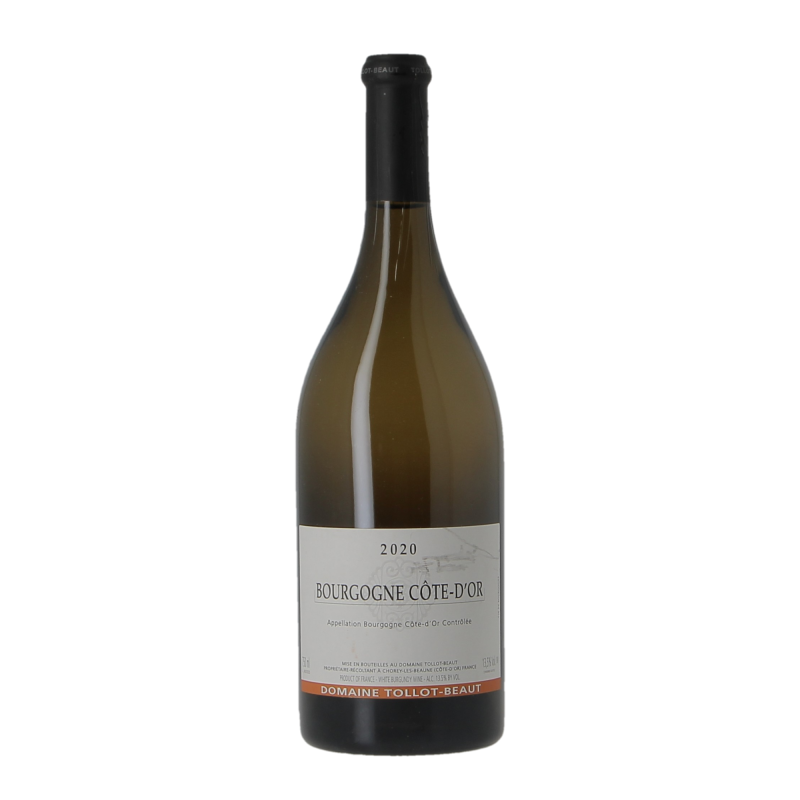 Bourgogne Cote D'Or 2020 Domaine Tollot-Beaut