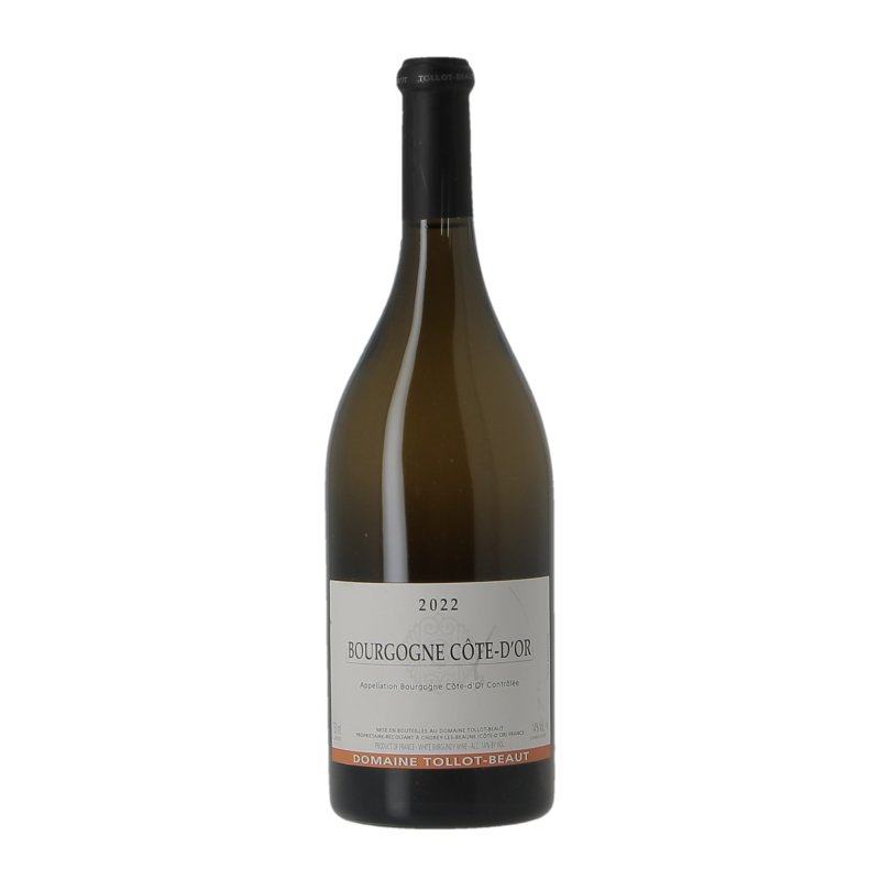Bourgogne Cote D'Or 2022 Domaine Tollot-Beaut