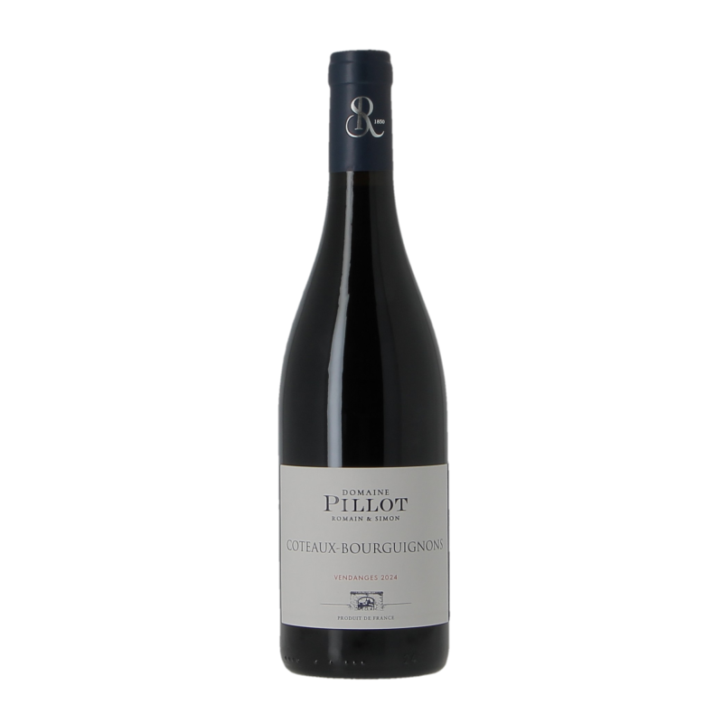 Coteaux Bourguignon 2024 Domaine Pillot Laurent Et Romain
