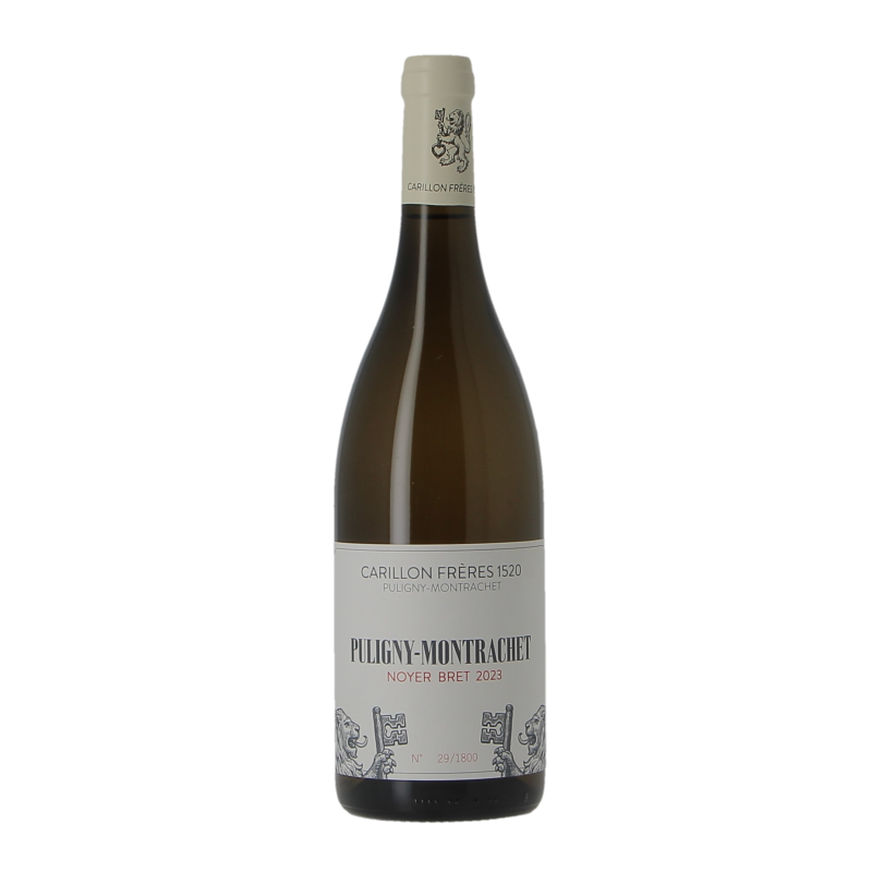 Puligny-Montrachet Noyer Bret 2023 Carillon Freres 1520