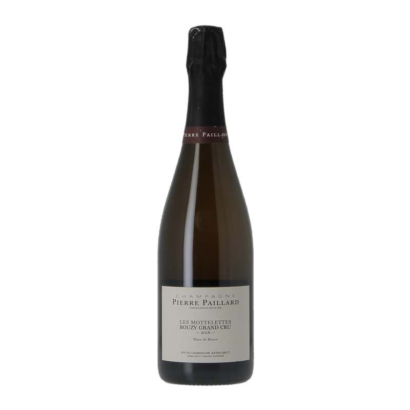Champagne Les Mottelettes 2016 Pierre Paillard
