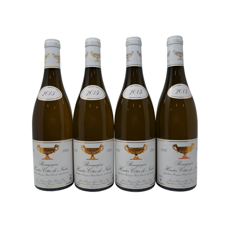 Bourgogne Hautes Cotes De Nuits 2015 Domaine Gros Frere Et Soeur