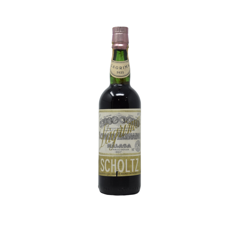 Malaga 1931 Scholtz