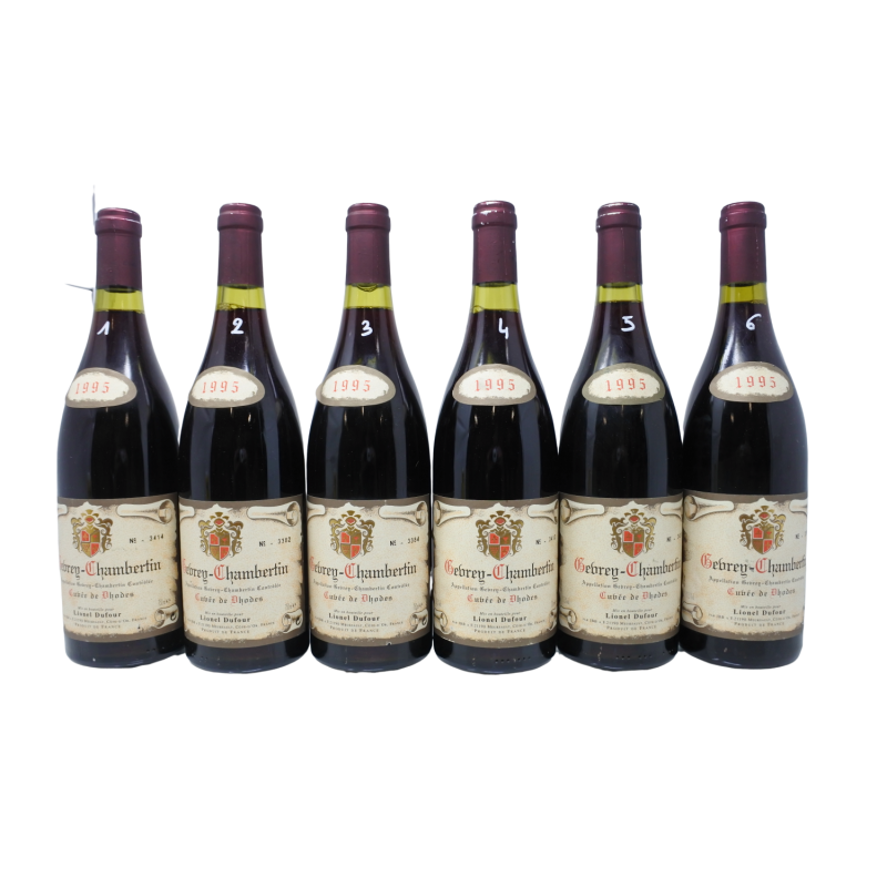 Gevrey-Chambertin Cuvee Des Dhodes 1995 Lionel Dufour