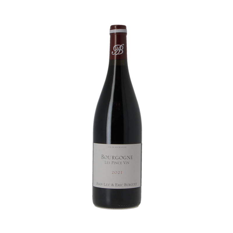 Bourgogne Les Pince Vin 2021 Domaine Alain Burguet