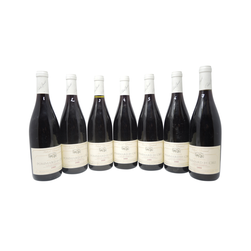 Pommard 1er Cru Les Charmots 1999 Patrick Clemencet