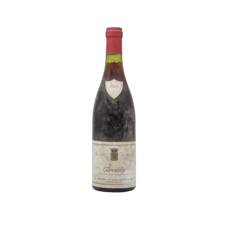 Brouilly 1966 Pierre Trichard