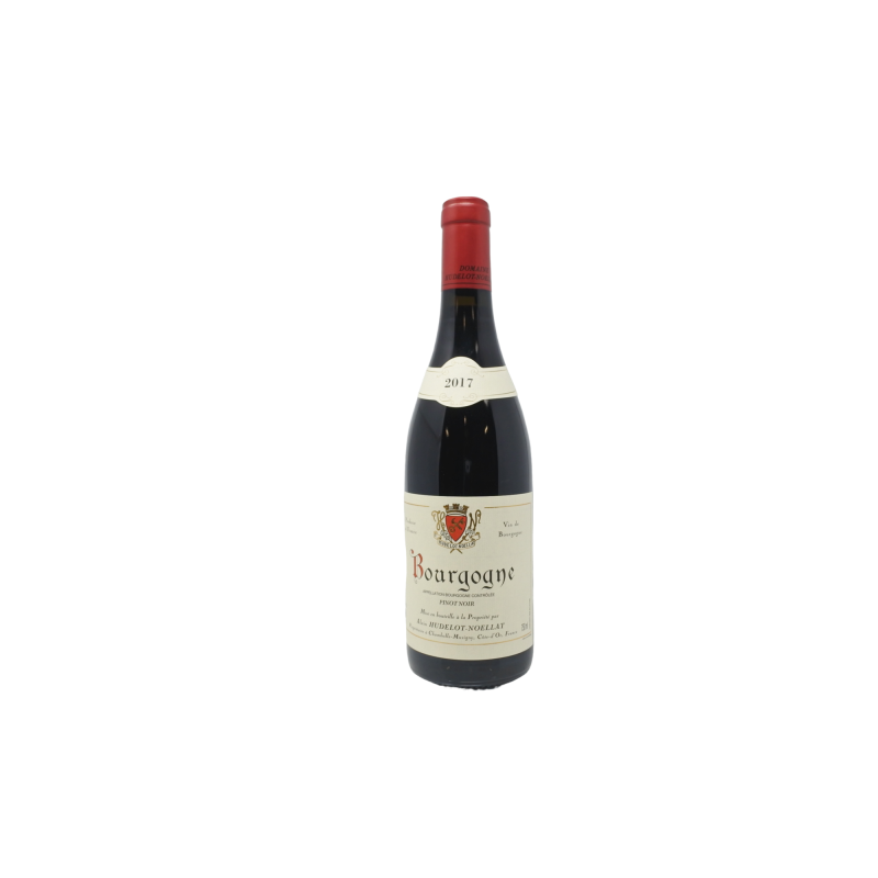 Bourgogne Pinot Noir 2017 Domaine Alain Hudelot- Noellat