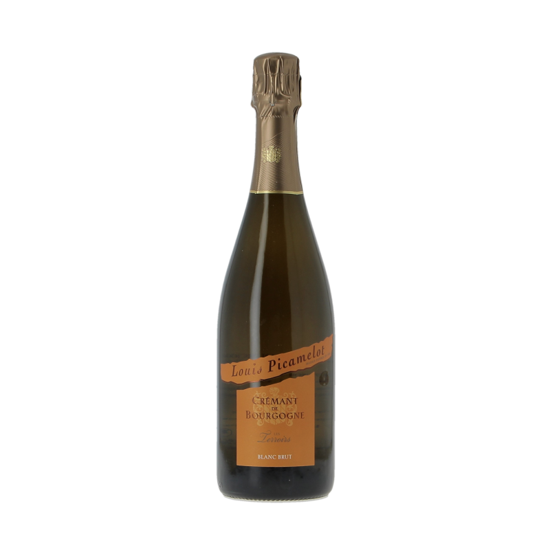 Cremant De Bourgogne Les Terroirs NM Louis Picamelot