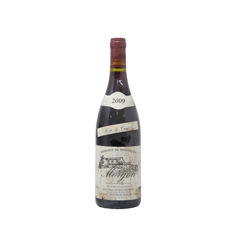 Morgon 2009 Domaine De Montplain