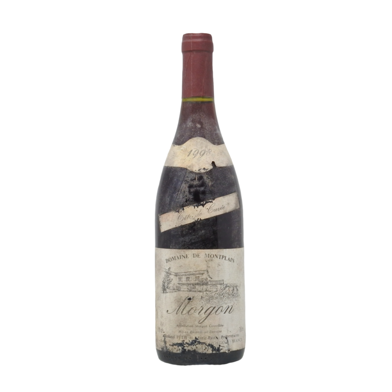 Morgon 1998 Domaine De Montplain