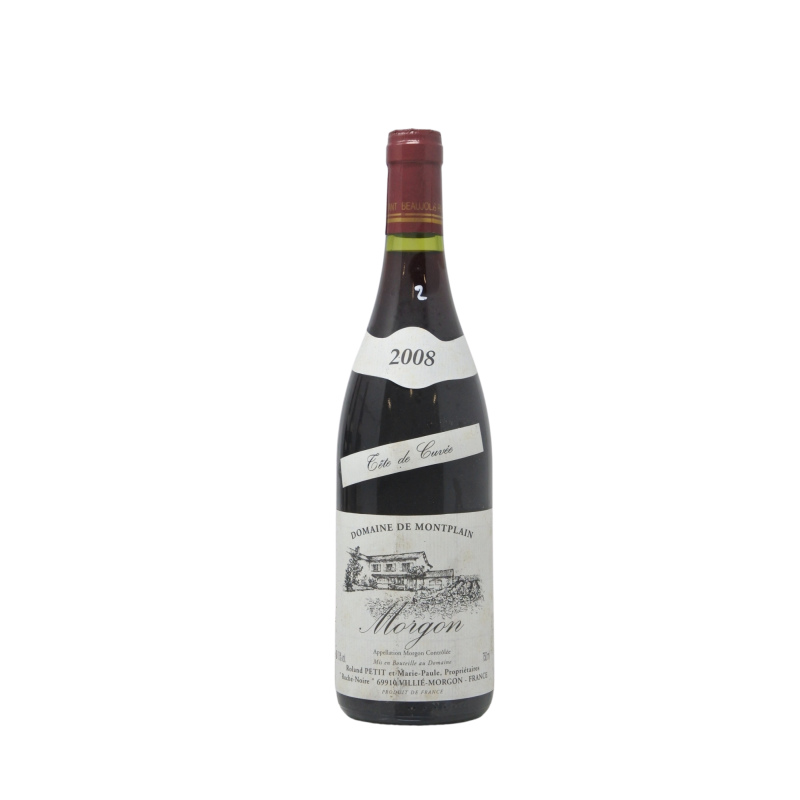 Morgon 2008 Domaine De Montplain