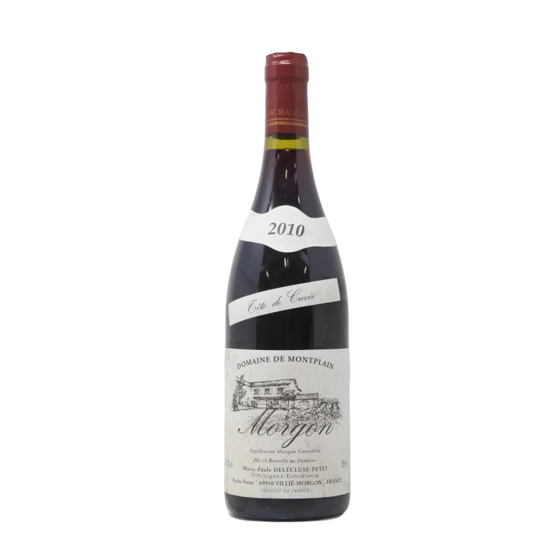 Morgon 2010 Domaine De Montplain