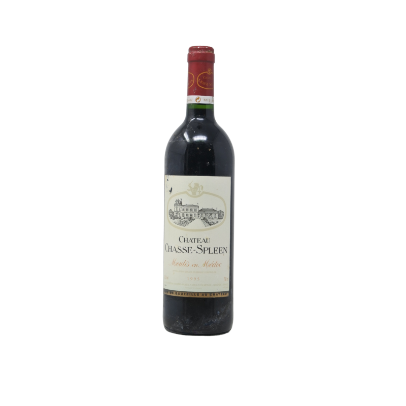 Chateau Chasse-Spleen 1995 Moulis-En-Medoc
