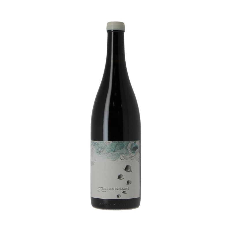 Coteaux Bourguignon 2021 Les Horees
