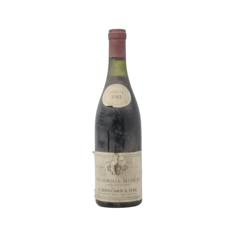 Chambolle-Musigny 1961 Brocard