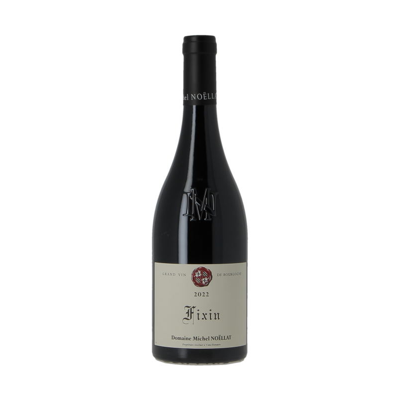Fixin 2022 Domaine Michel Noellat