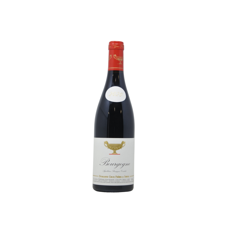 Bourgogne Pinot Noir 2020 Domaine Gros Frere Et Soeur
