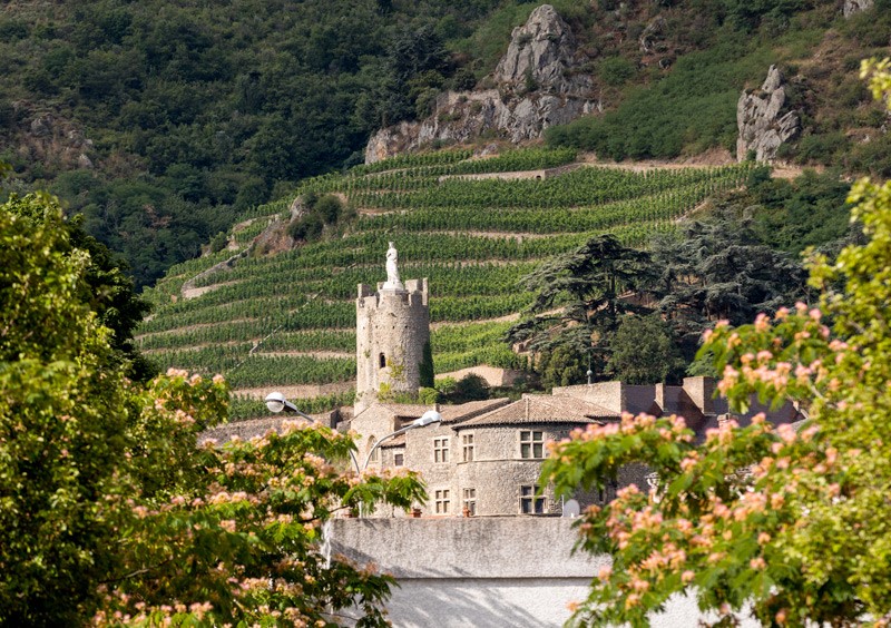 Vallee Du Rhone